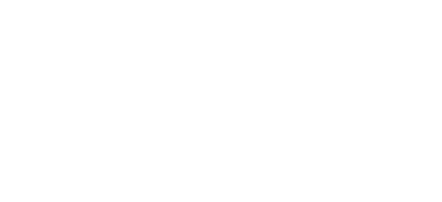 FlyToAny